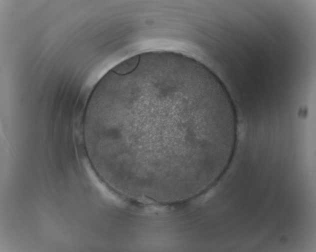 X0000112351521200908201428