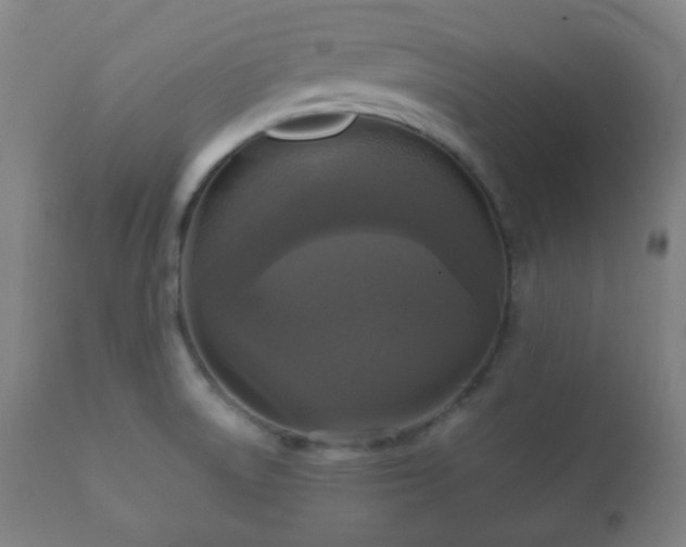 X0000112351522200908201428