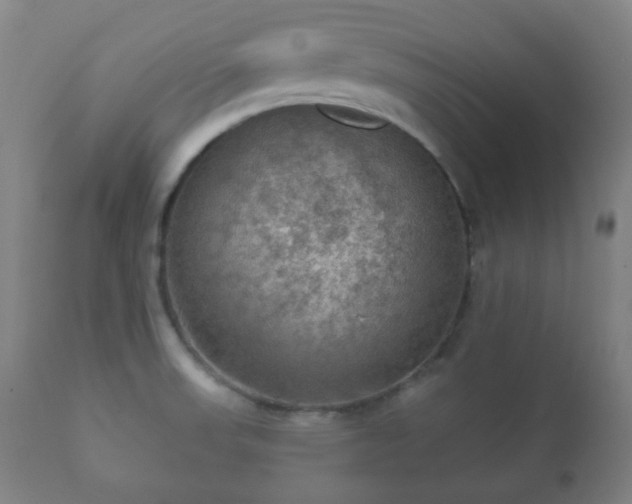 X0000112351523200908201428