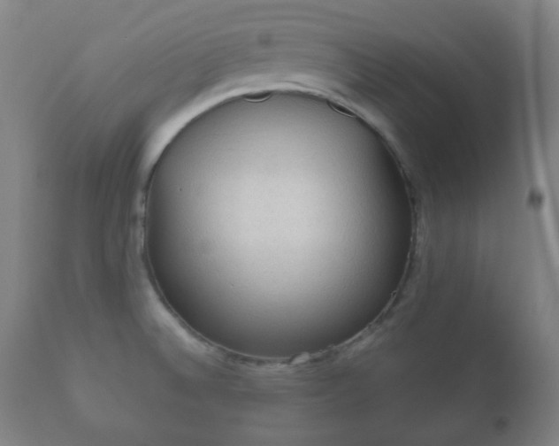 X0000112351524200908201428