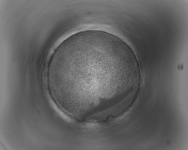 X0000112351525200908201428