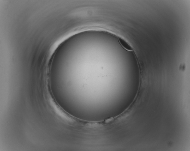 X0000112351526200908201428