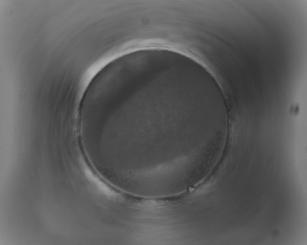 X0000112351527200908201428