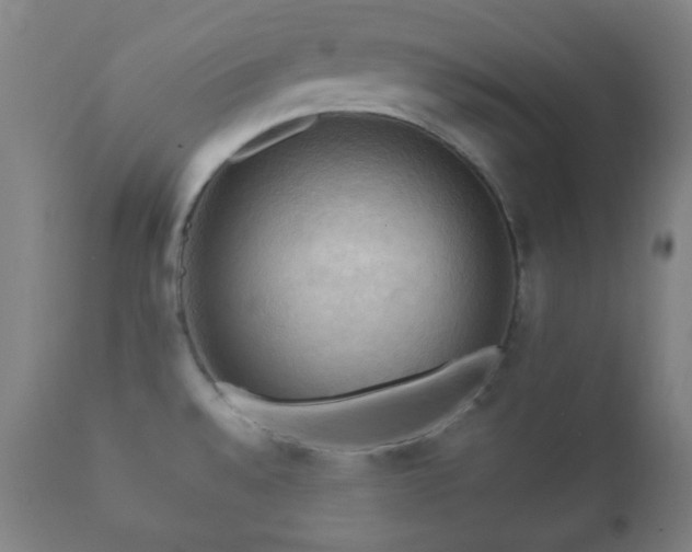 X0000112351528200908201428