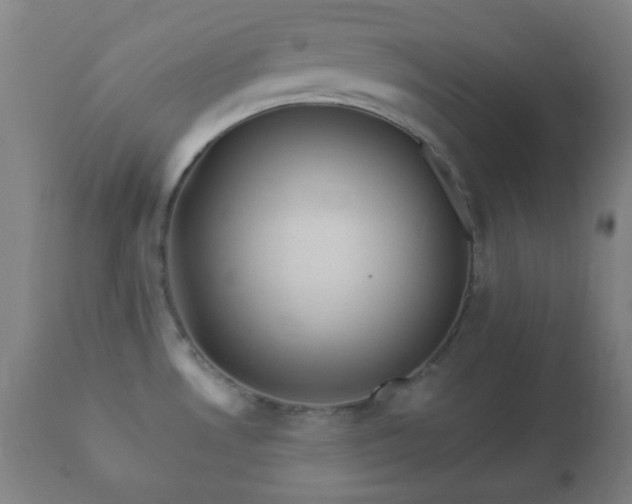 X0000112351530200908201428