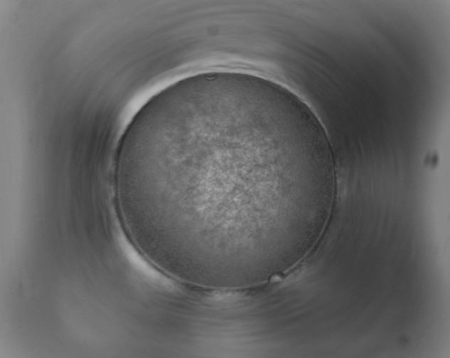 X0000112351531200908201428