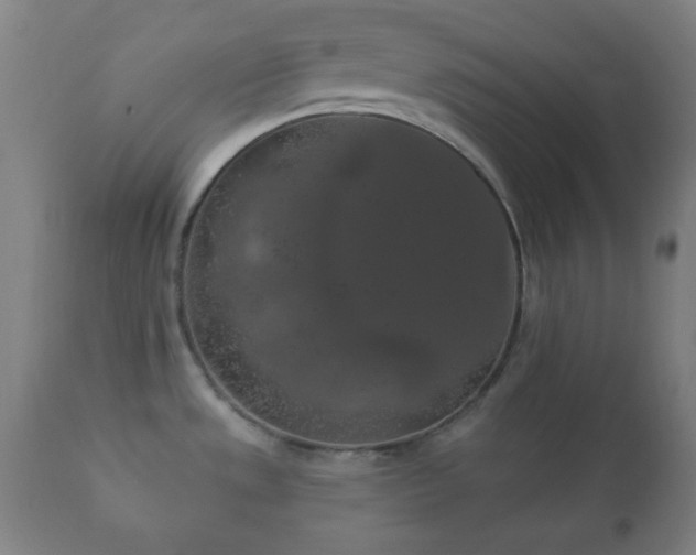 X0000112351533200908201428