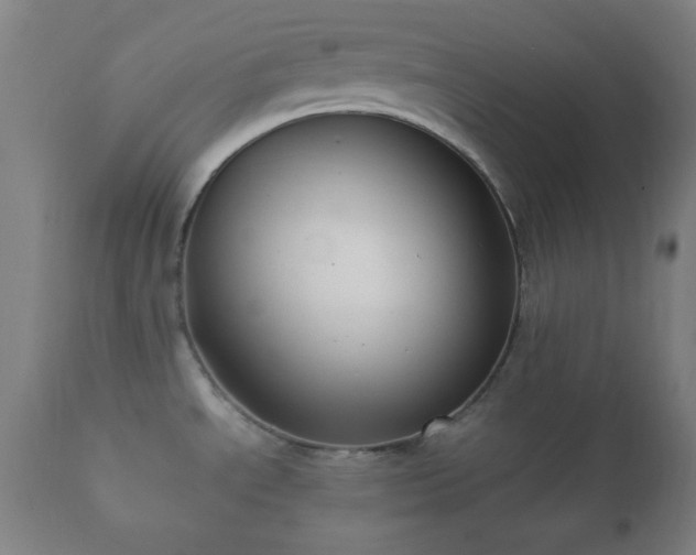 X0000112351534200908201428