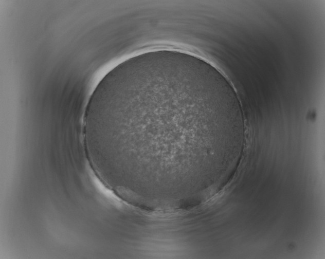 X0000112351535200908201428