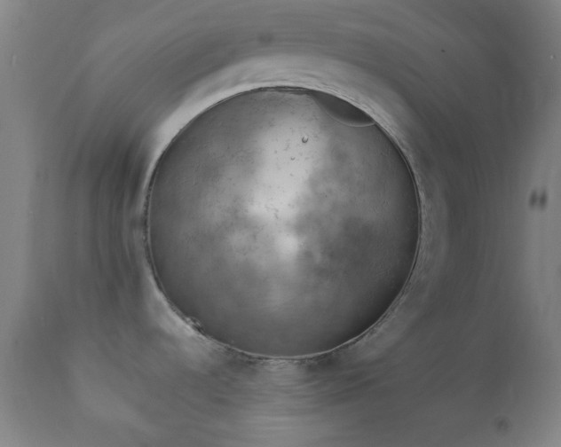 X0000112351536200908201428