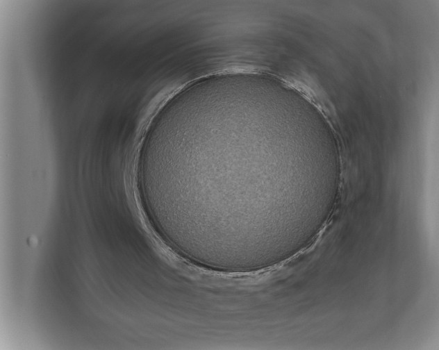 X0000112350001200908271242