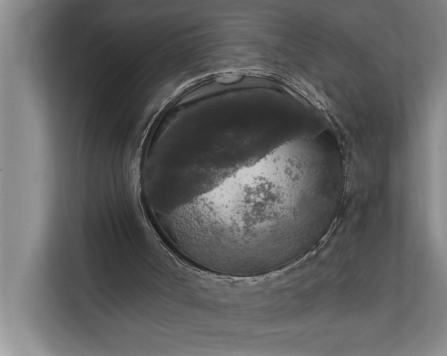 X0000112350002200908271242