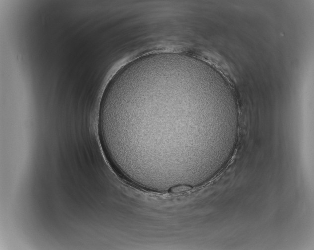 X0000112350003200908271242