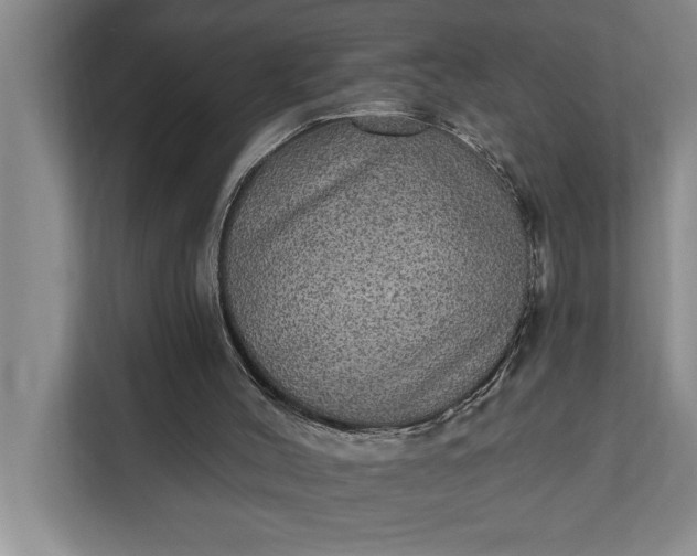 X0000112350004200908271242