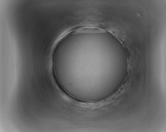 X0000112350005200908271242