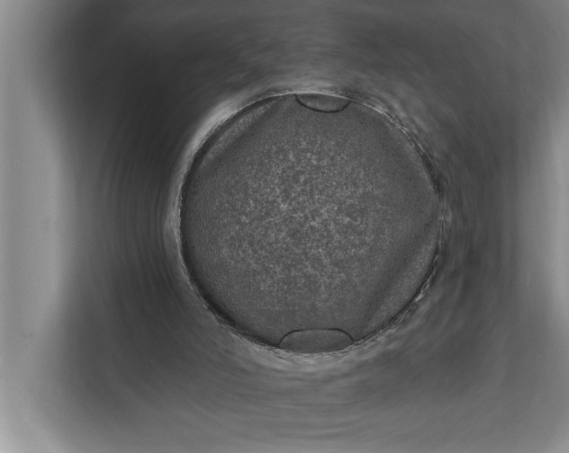 X0000112350006200908271242