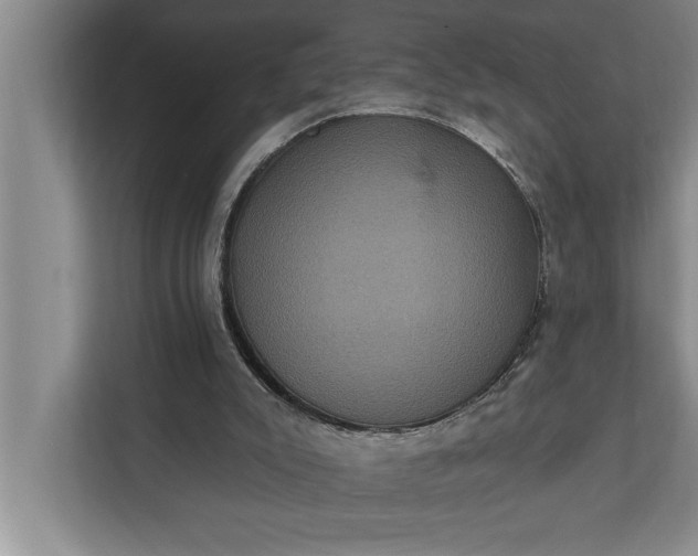 X0000112350007200908271242