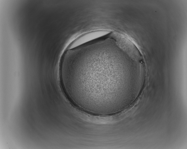 X0000112350008200908271242