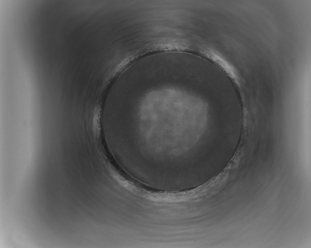 X0000112350009200908271242