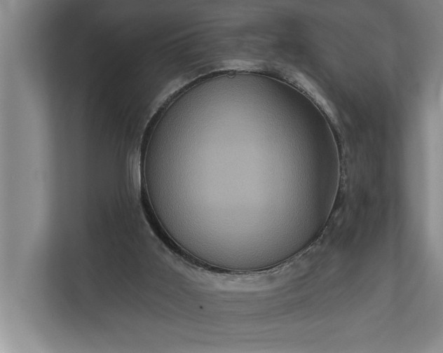 X0000112350011200908271242