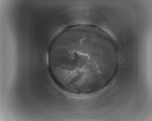 X0000112350014200908271242