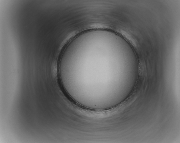 X0000112350015200908271242