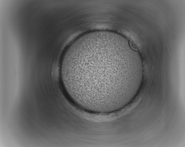 X0000112350016200908271242