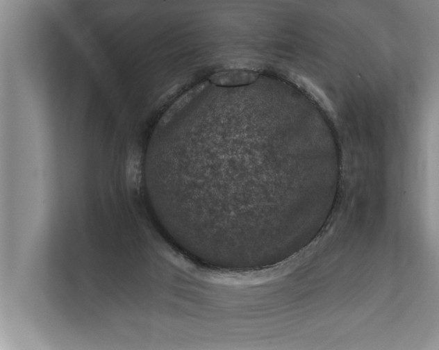 X0000112350017200908271242