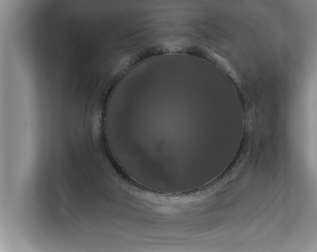 X0000112350018200908271242