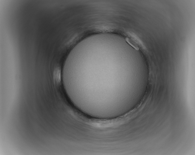 X0000112350021200908271242