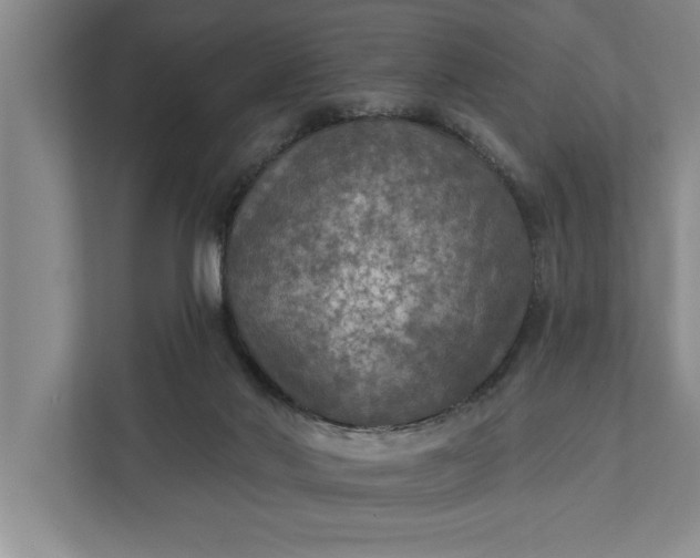 X0000112350022200908271242