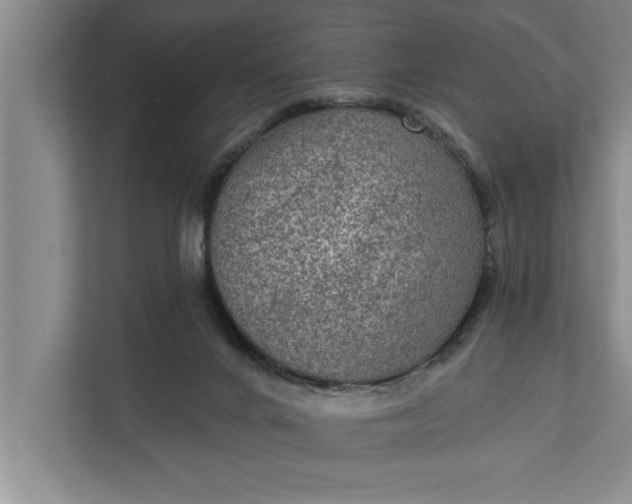 X0000112350024200908271242