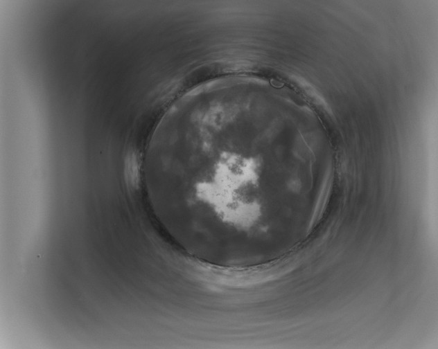 X0000112350026200908271242