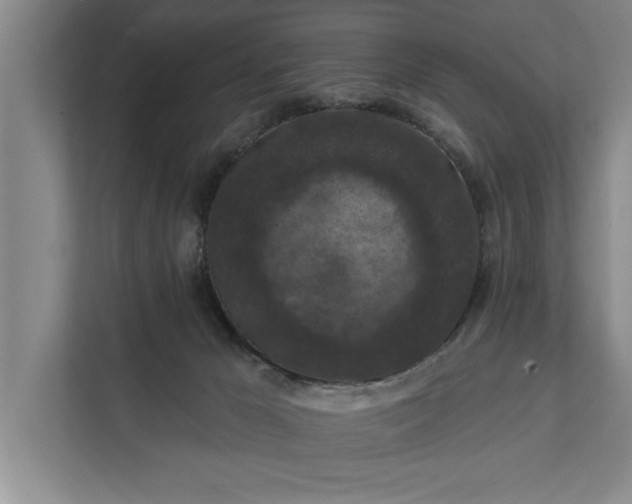 X0000112350029200908271242