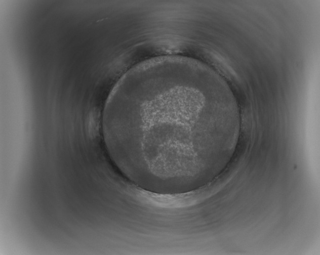 X0000112350030200908271242