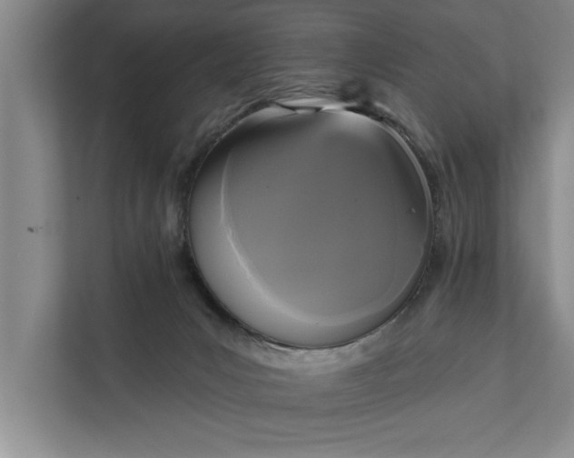 X0000112350031200908271242