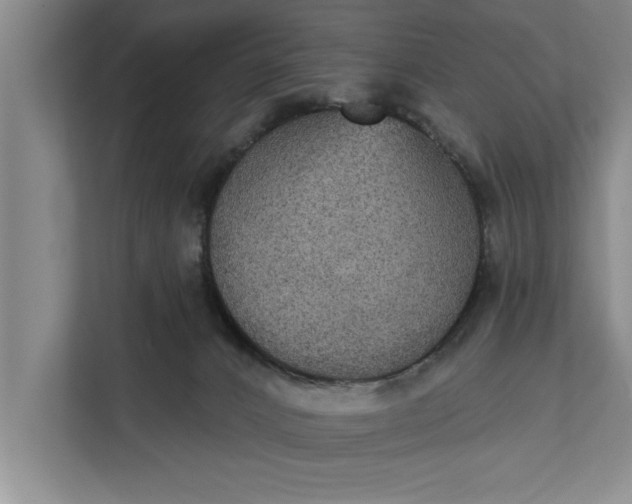 X0000112350032200908271242