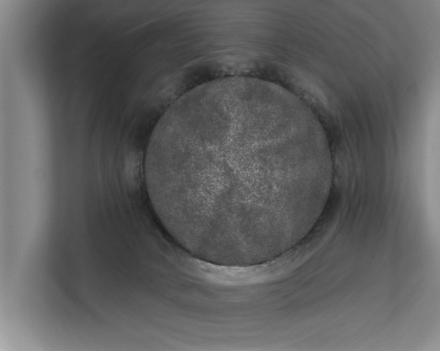 X0000112350034200908271242