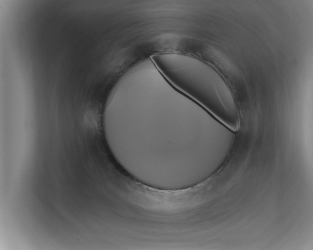 X0000112350035200908271242