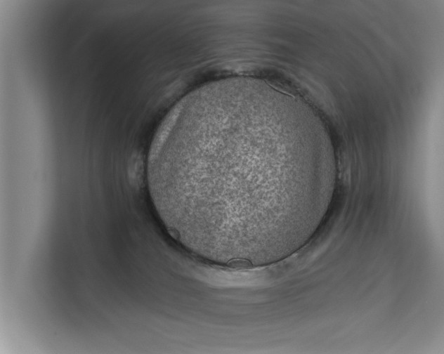 X0000112350036200908271242