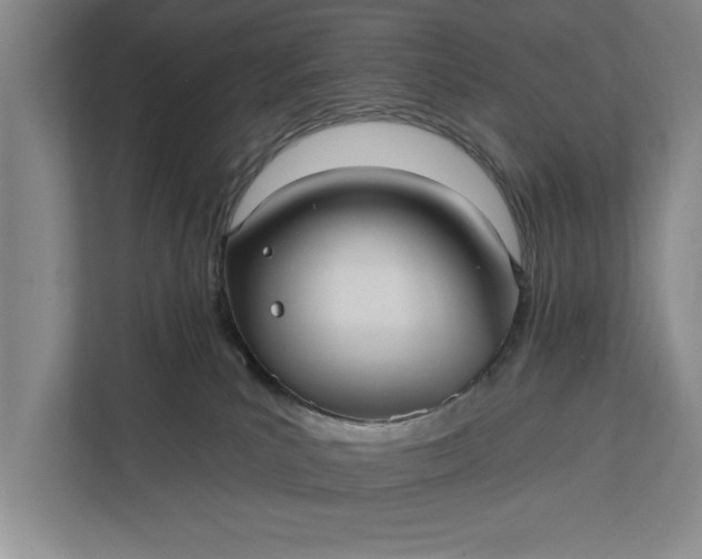 X0000112350039200908271242