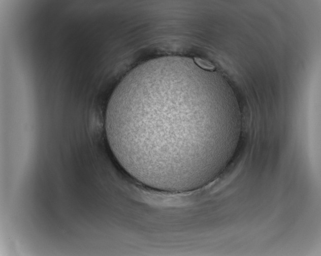 X0000112350040200908271242