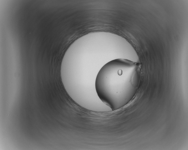 X0000112350045200908271242