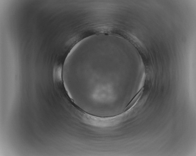 X0000112350047200908271242