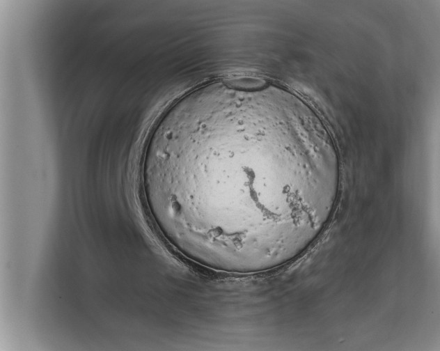 X0000112350049200908271241