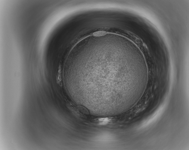 X0000112350050200908271241