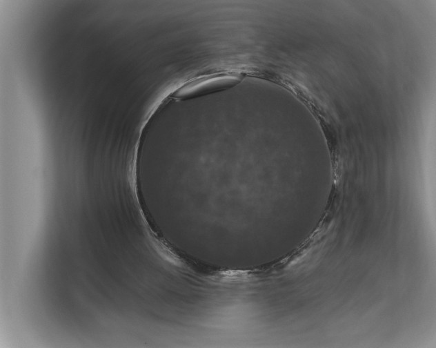 X0000112350052200908271241