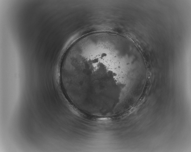 X0000112350053200908271241