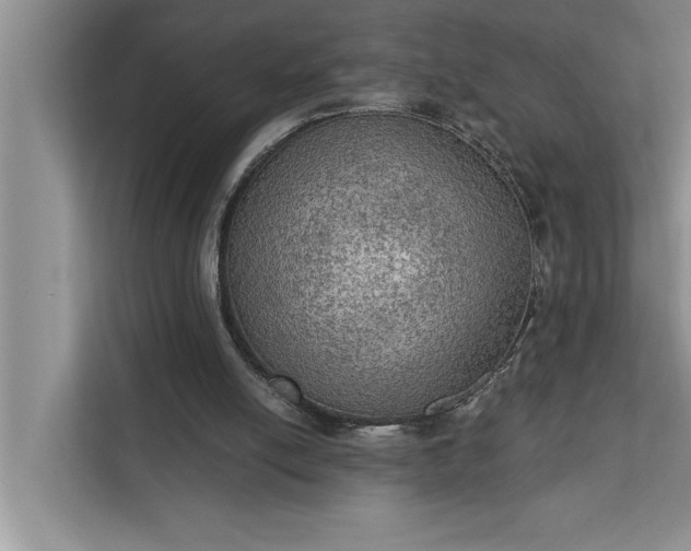 X0000112350054200908271241