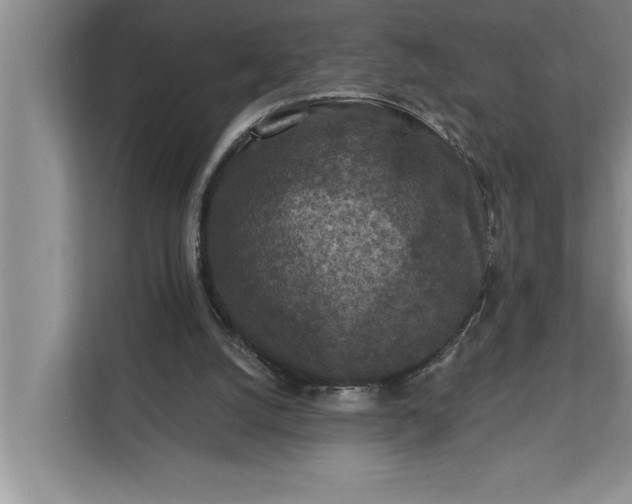 X0000112350056200908271241